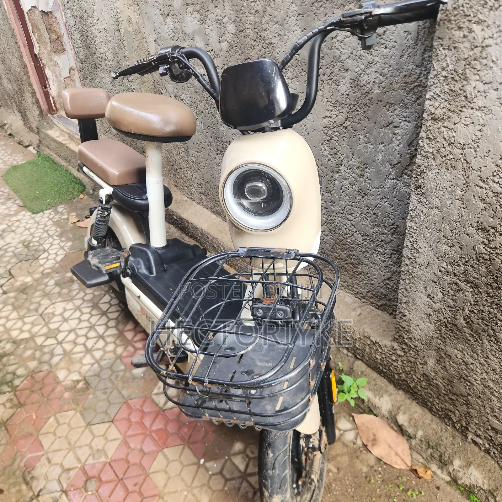 Tailg 2023 Beige