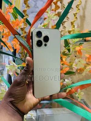 Apple iPhone 14 Pro Max 256 GB Gold