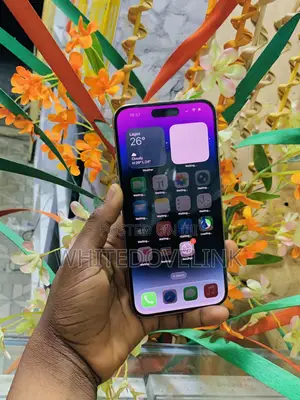 Apple iPhone 14 Pro Max 256 GB Gold