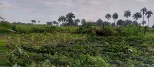 Buy and Build Land for Sale