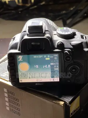 Nikon D3100