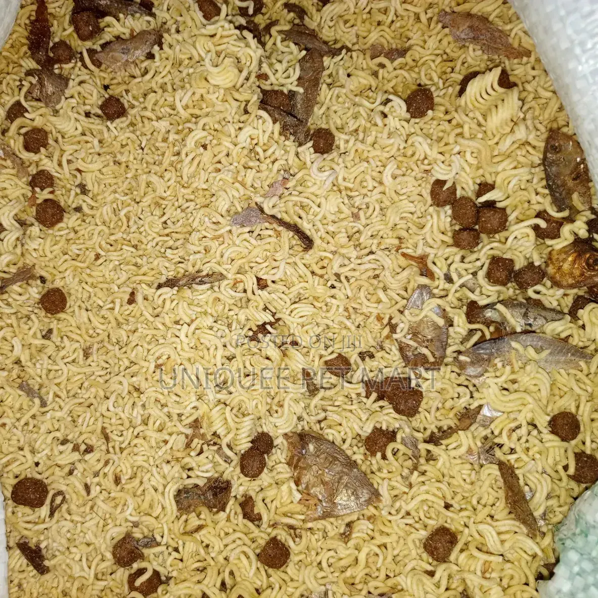 Dog Indomie