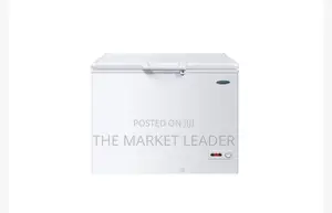Thermocool Inverter Freezer 219 R6 White