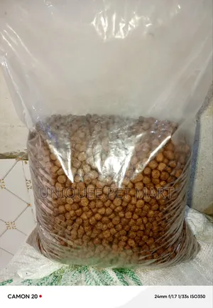 Zito Adult Dryfood