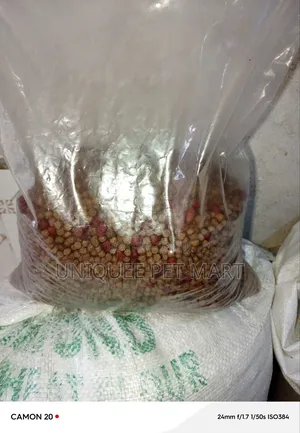 Zito Puppy Dryfood