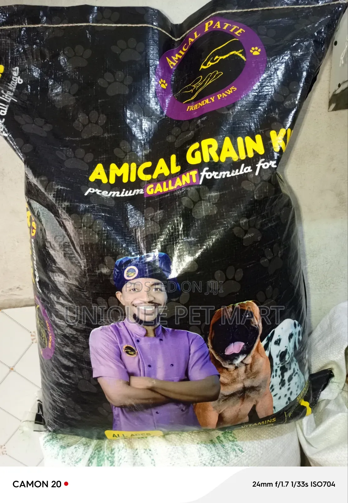 Amical Gallant