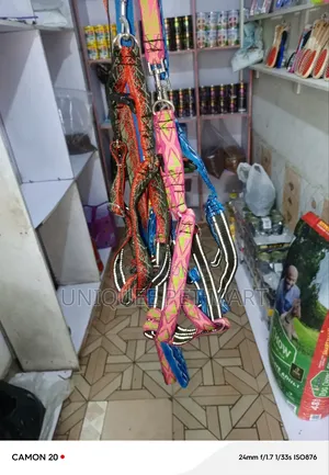 Dog Harness