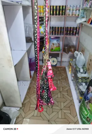 Dog Harness