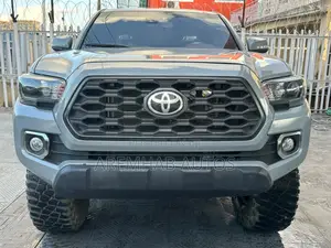 Toyota Tacoma TRD Off Road 2019 Gray