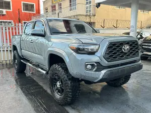 Toyota Tacoma TRD Off Road 2019 Gray
