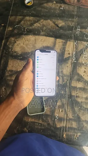 Apple iPhone 15 Pro Max 256 GB Gray
