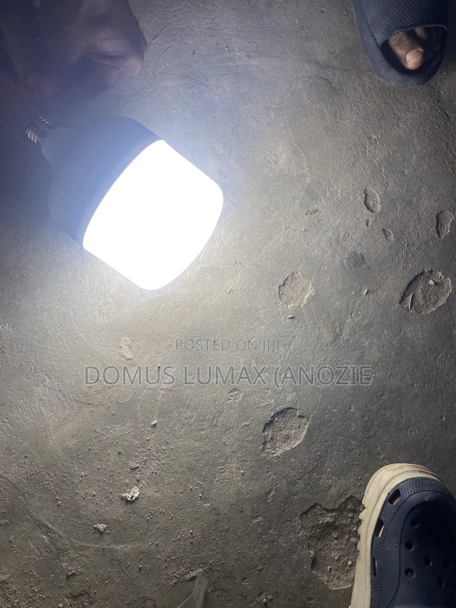 Domus Led Bulb