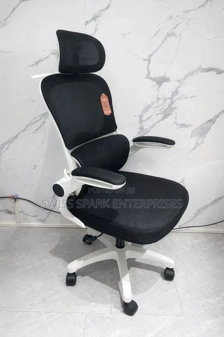 High Back Ergonomic Office Chair