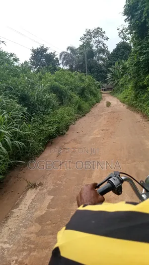 Distress Sale of Land for Sale at Ulakwo Etche