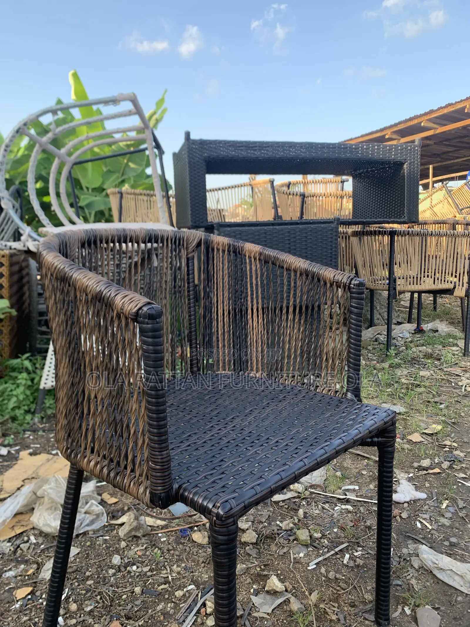 Dining Chair