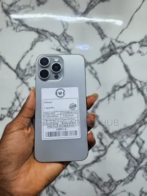 Apple iPhone 15 Pro Max 256 GB Silver