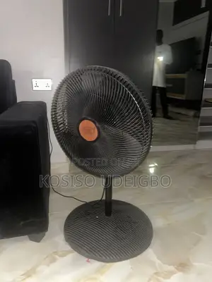 Ox Electrical Fan