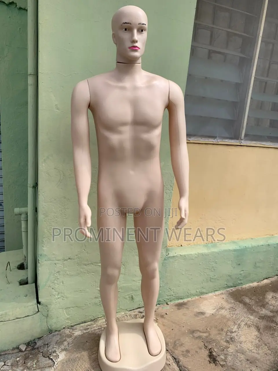 Male Mannequin