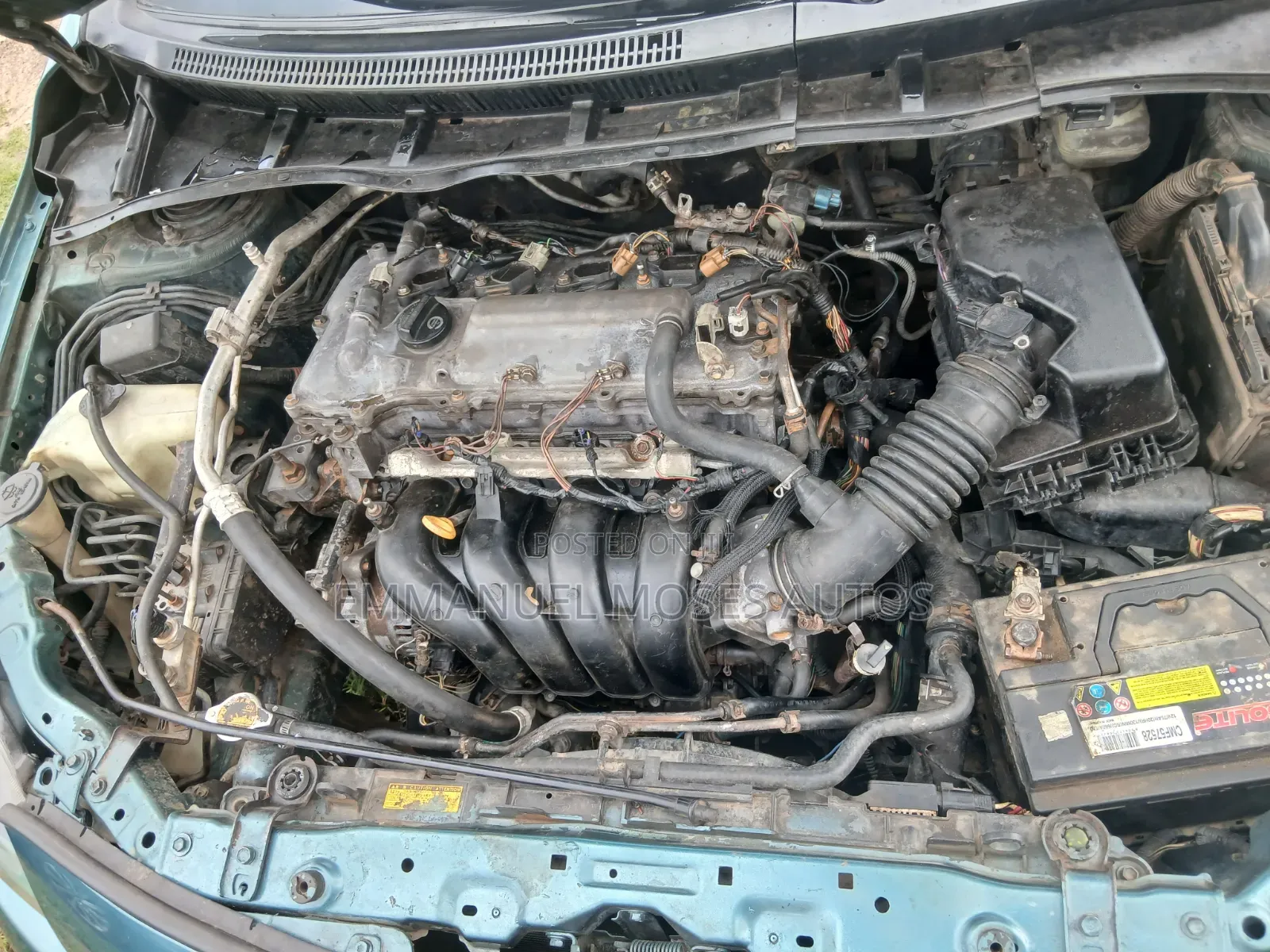 Toyota Corolla 2009 Green