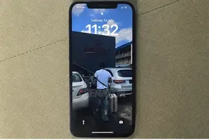 Apple iPhone 12 Pro Max 256 GB Blue