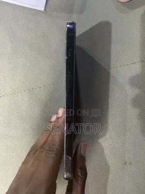 Apple iPhone 12 Pro Max 256 GB Blue