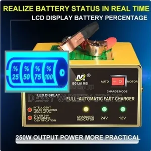 Intelligent Fast Pulse Car Battery Charger 12v/24v