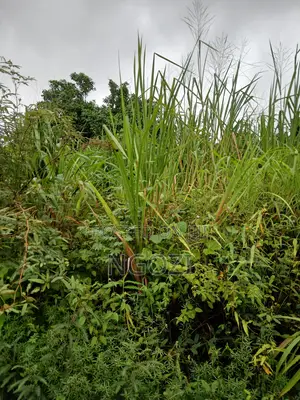 2,678 Square Meter Land For Sale At Monarch, Enugu