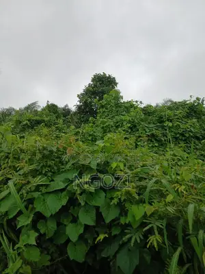 2,678 Square Meter Land For Sale At Monarch, Enugu