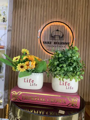 Luxury Tv Potted Flowers