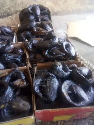 Dried Fish Kifi Banda