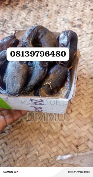 Dried Fish Kifi Banda