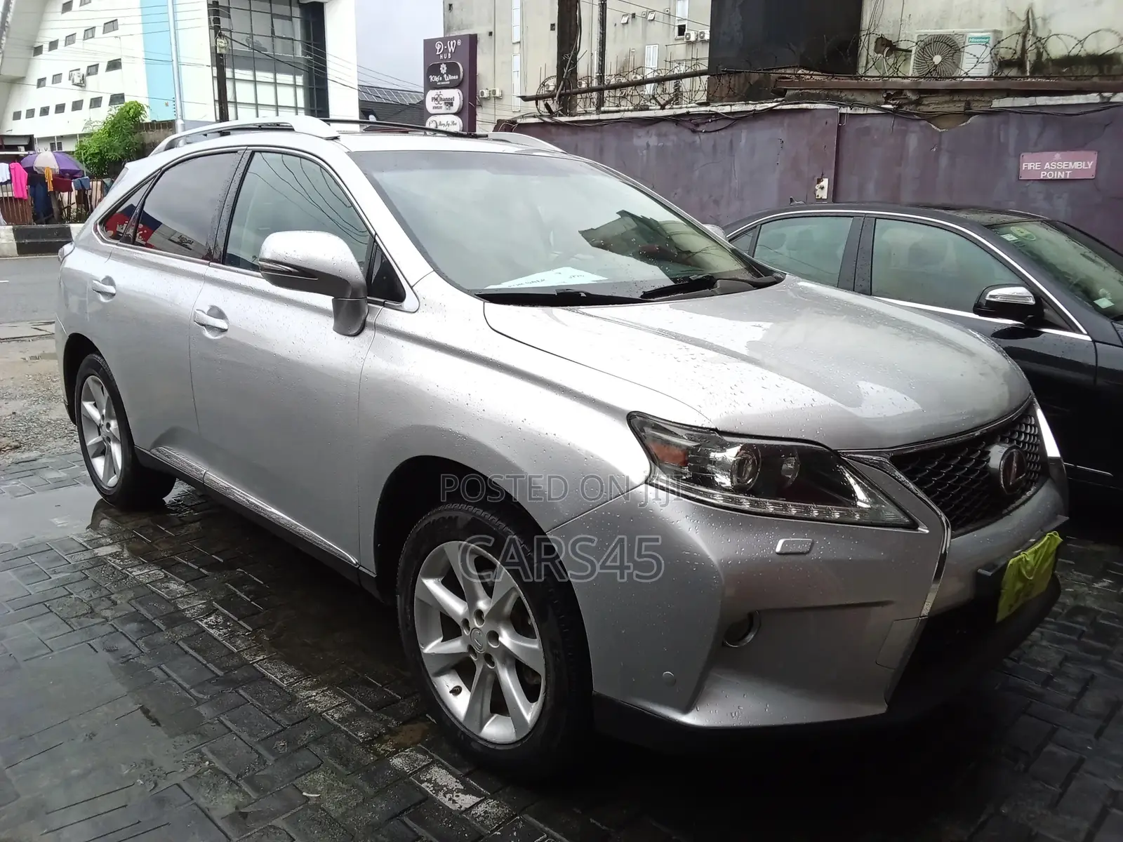 Lexus RX 2010 Silver