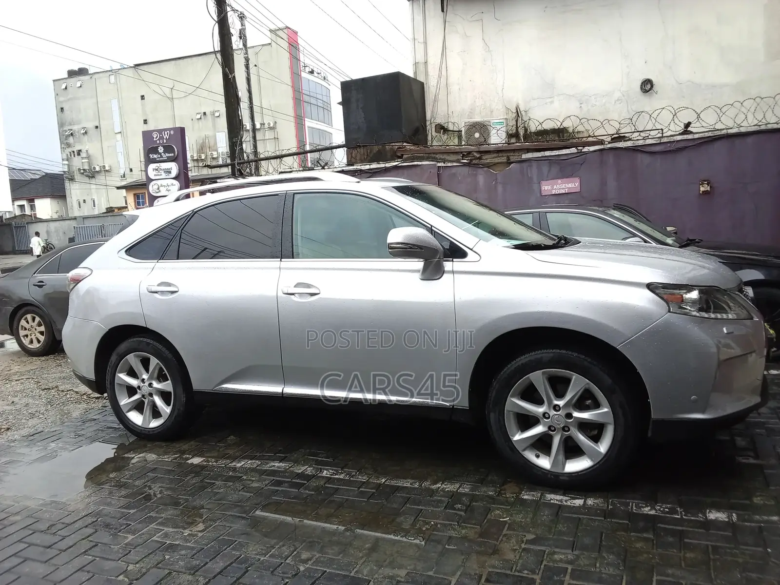 Lexus RX 2010 Silver