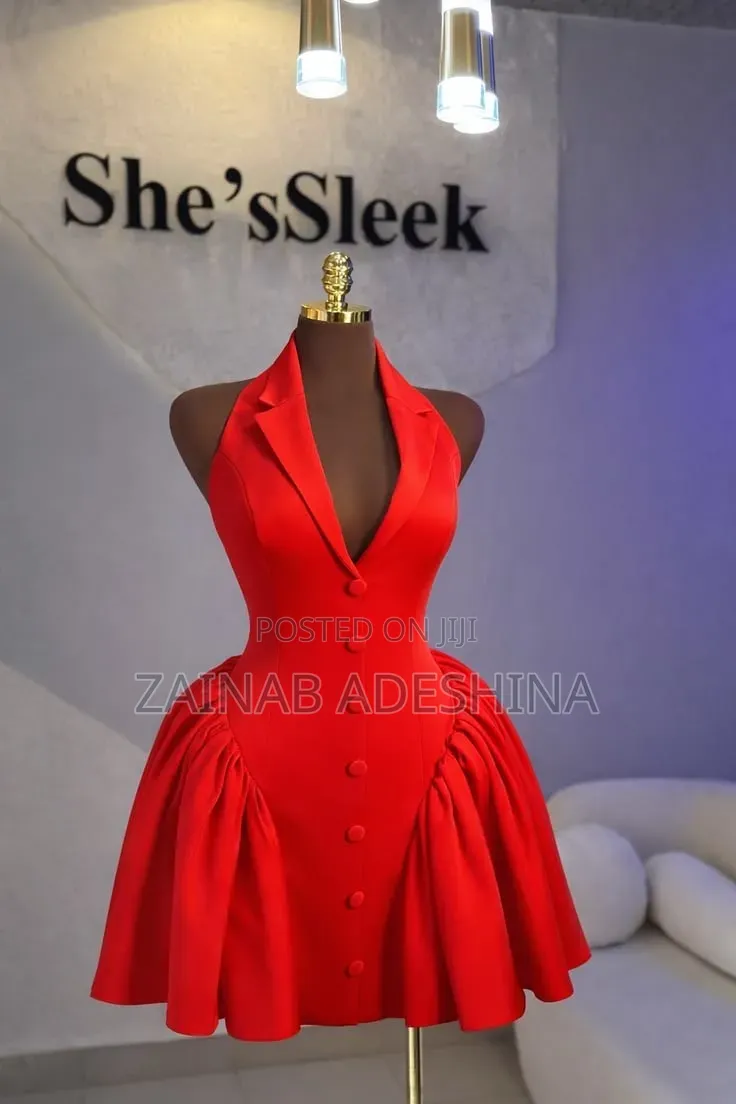 Professional Fashion Designer