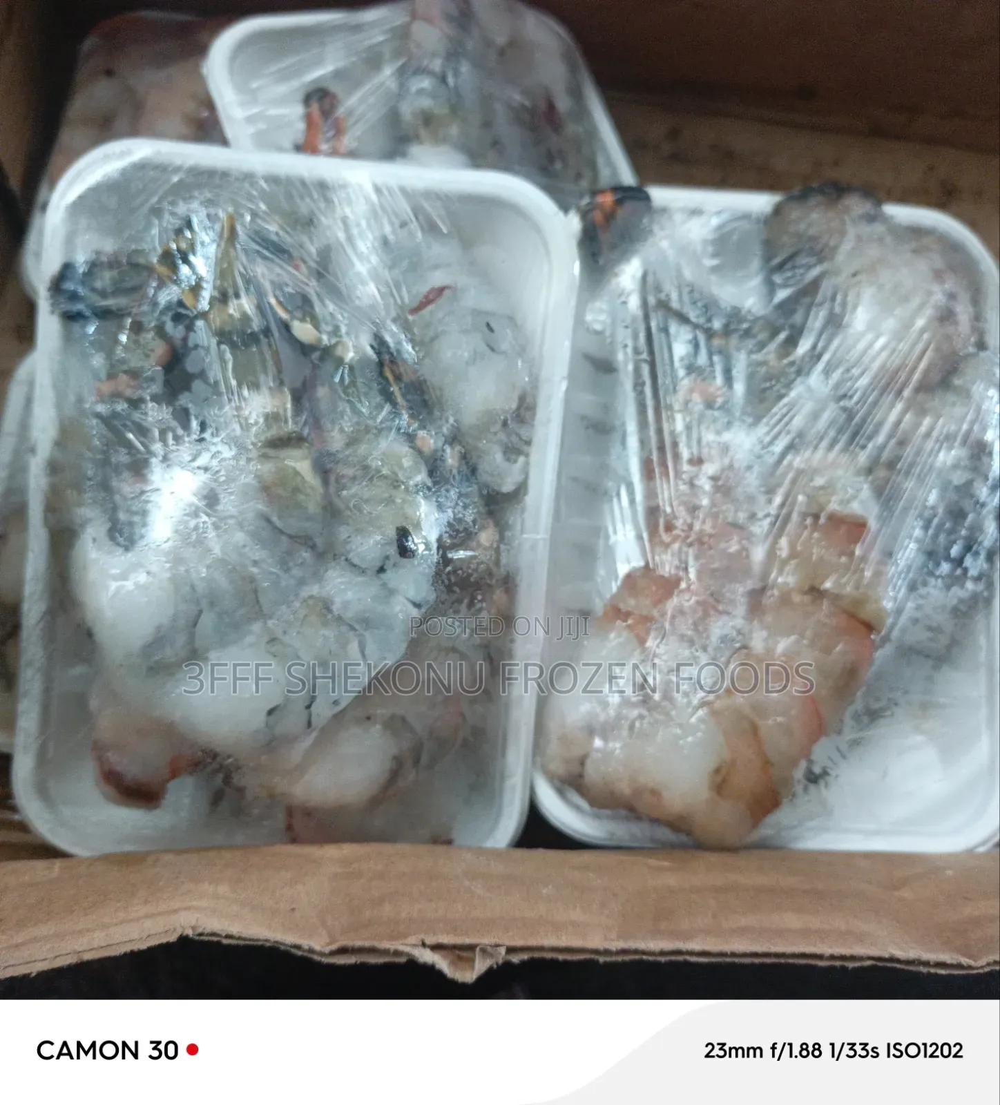 Jumbo and Medium Prawn