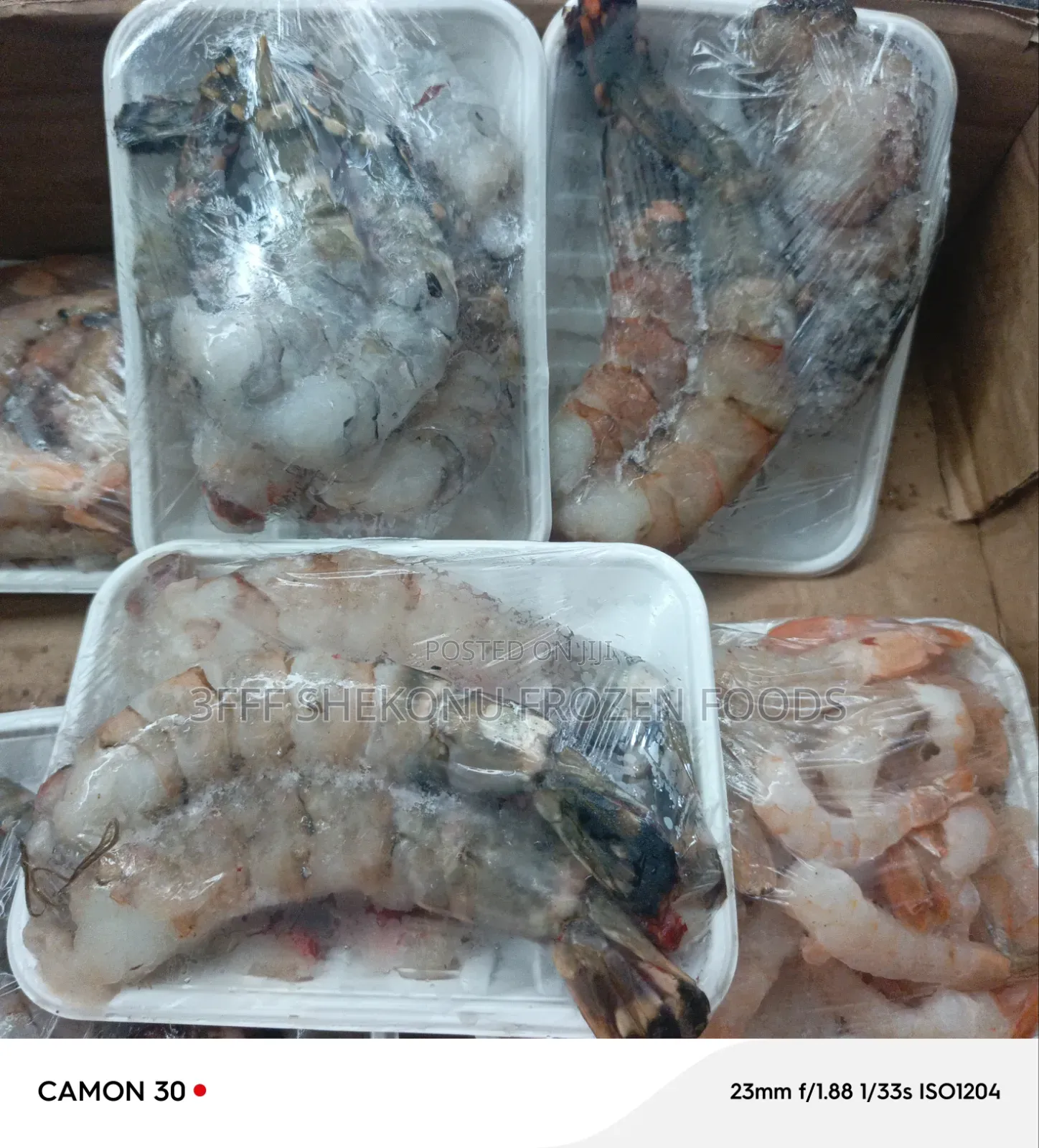 Jumbo and Medium Prawn
