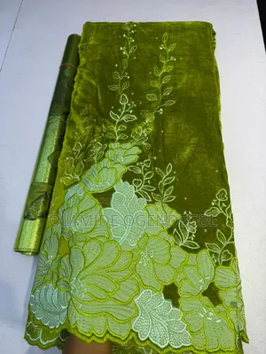 Embroidery Velvet Lace