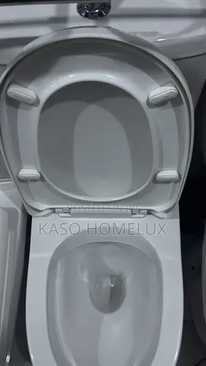 Complete Set of Vstar Micoe Water Closet