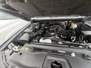 Toyota Land Cruiser 2024 Gray