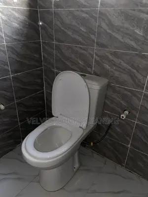 Move in Cleaning Services