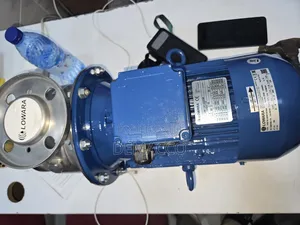 Lowara Surface Pump Machine