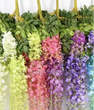 Purple Hanging Wisteria