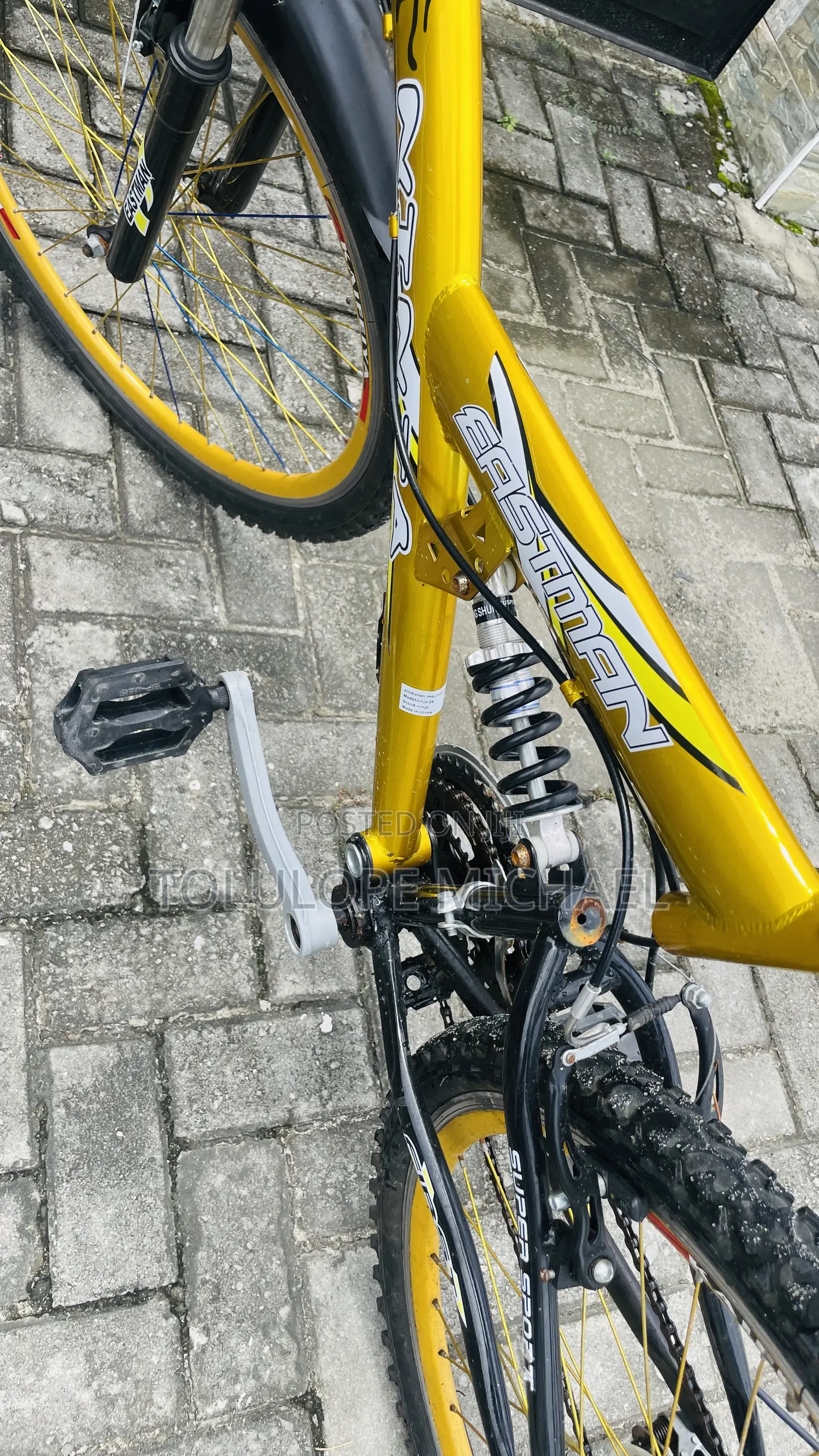 Eastman Adult Bicycle
