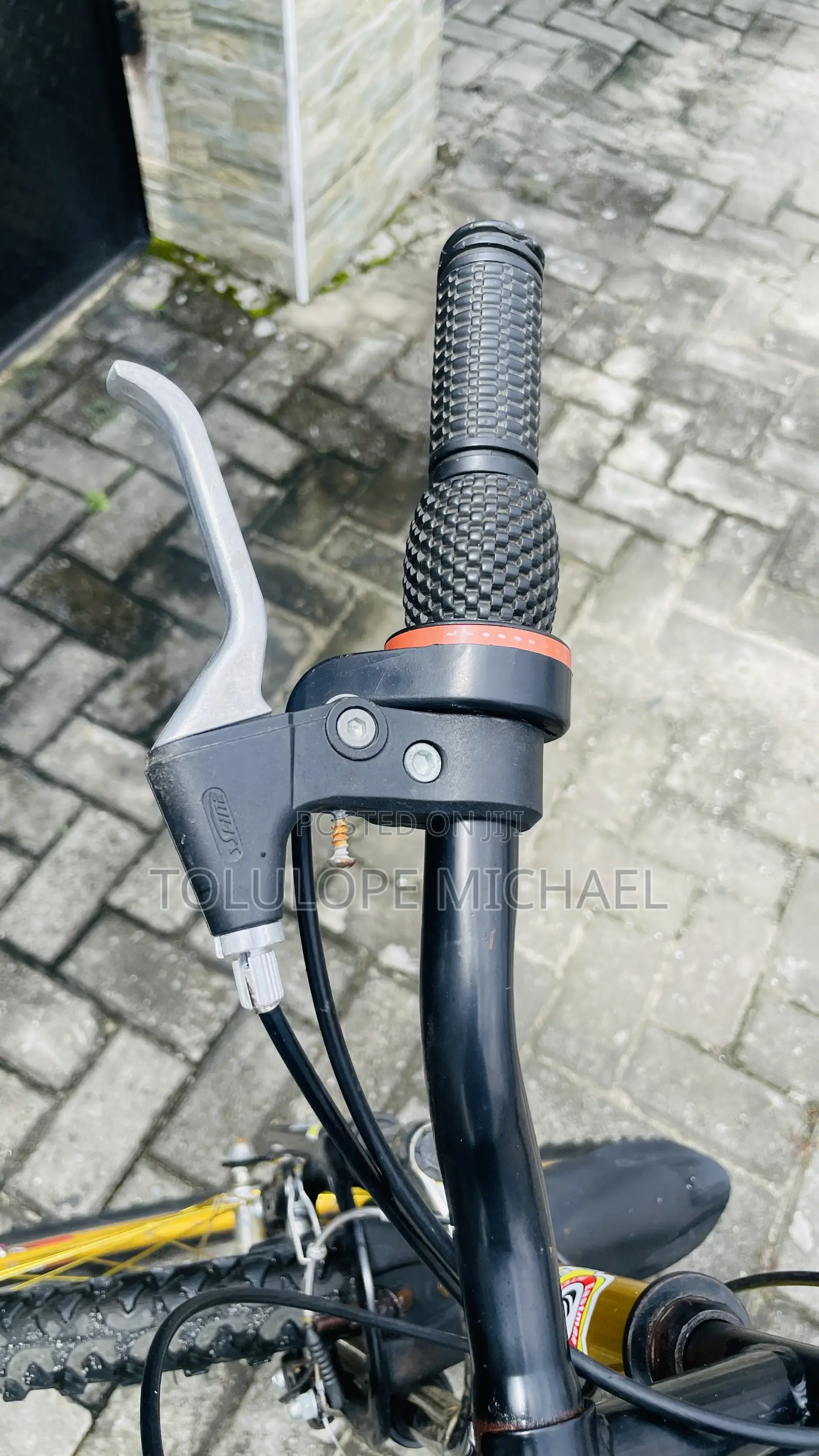 Eastman Adult Bicycle