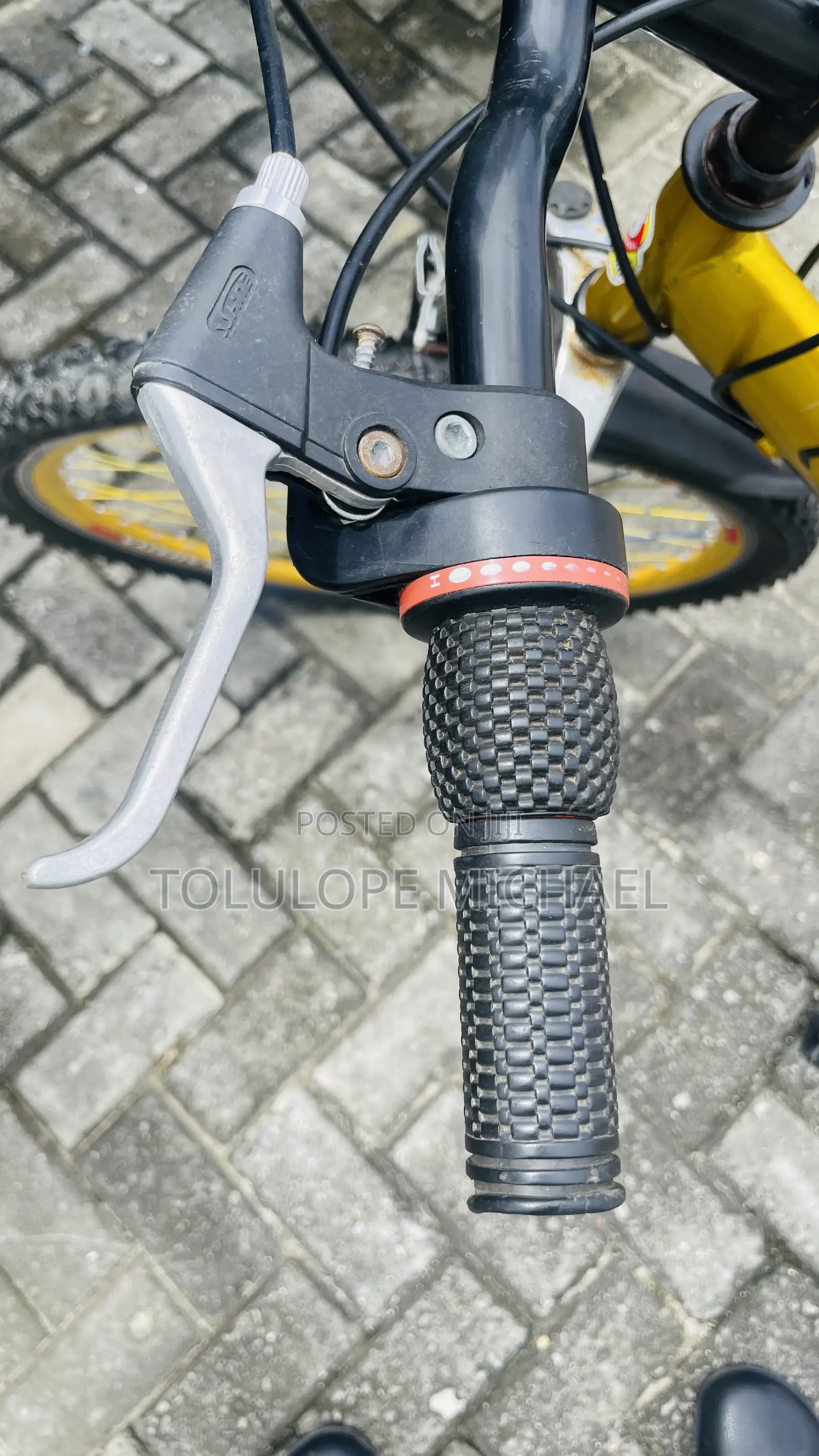 Eastman Adult Bicycle