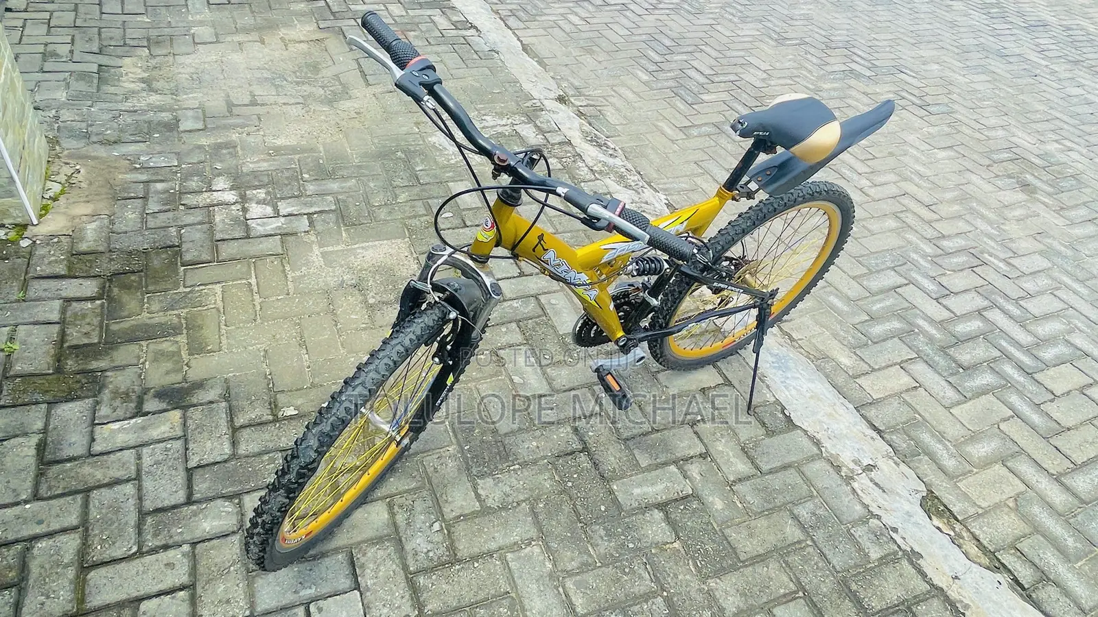 Eastman Adult Bicycle
