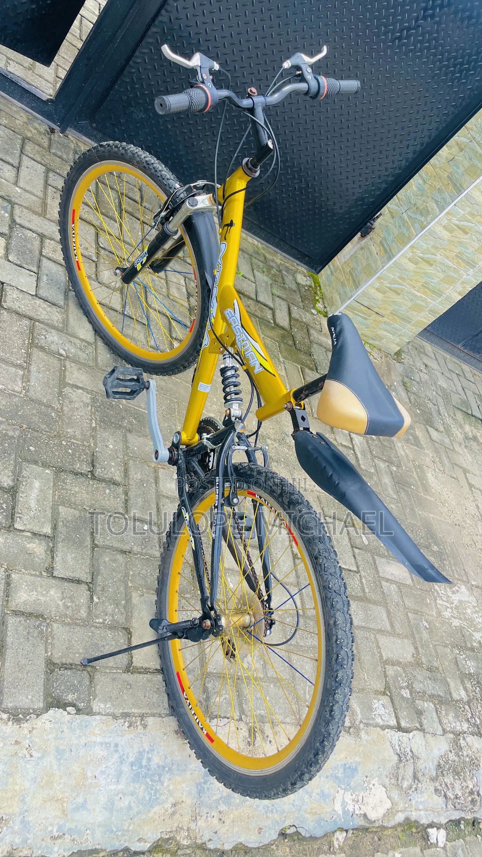 Eastman Adult Bicycle