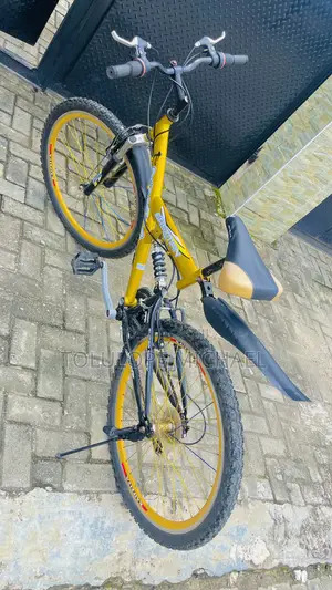 Eastman Adult Bicycle