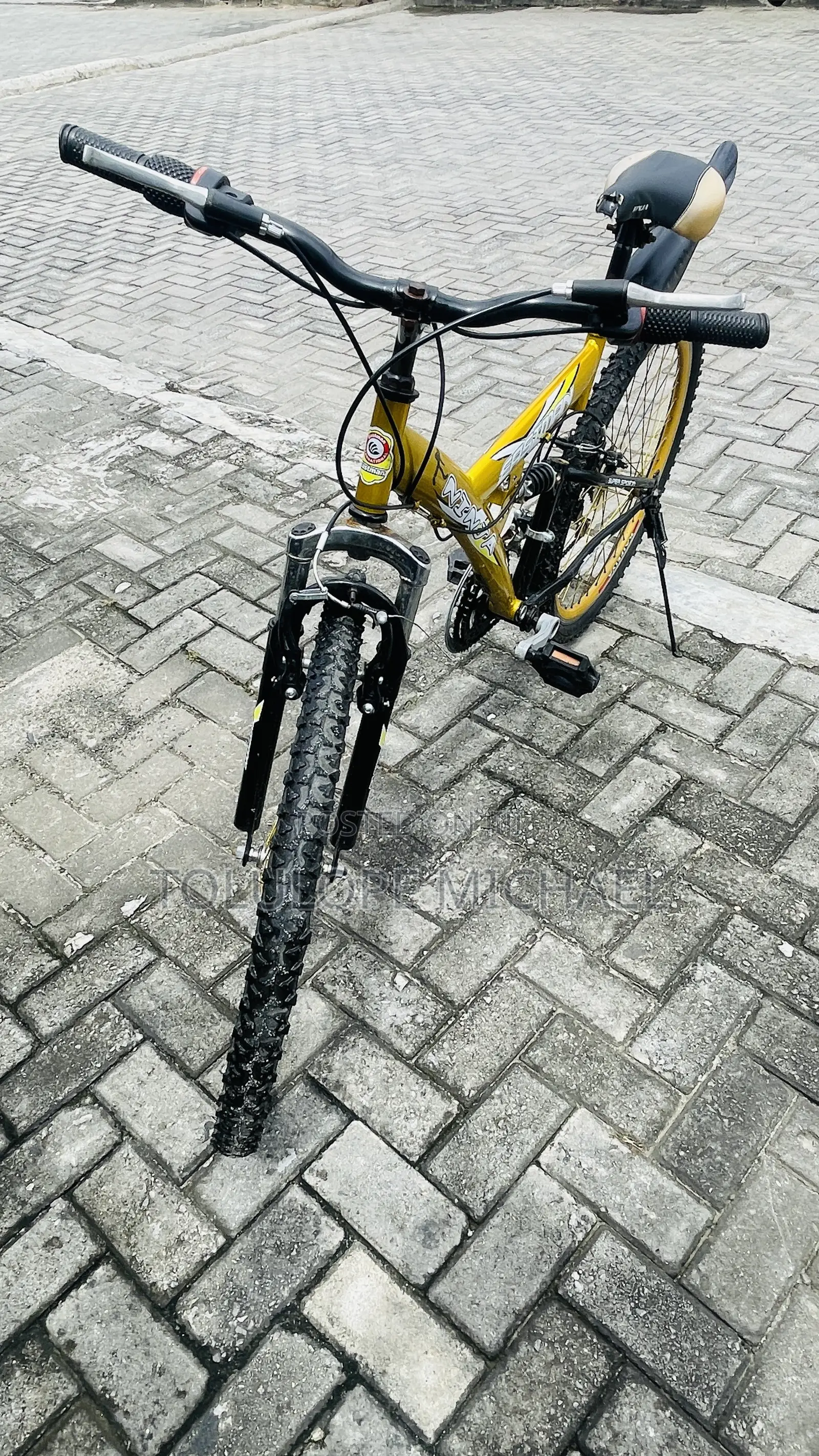 Eastman Adult Bicycle