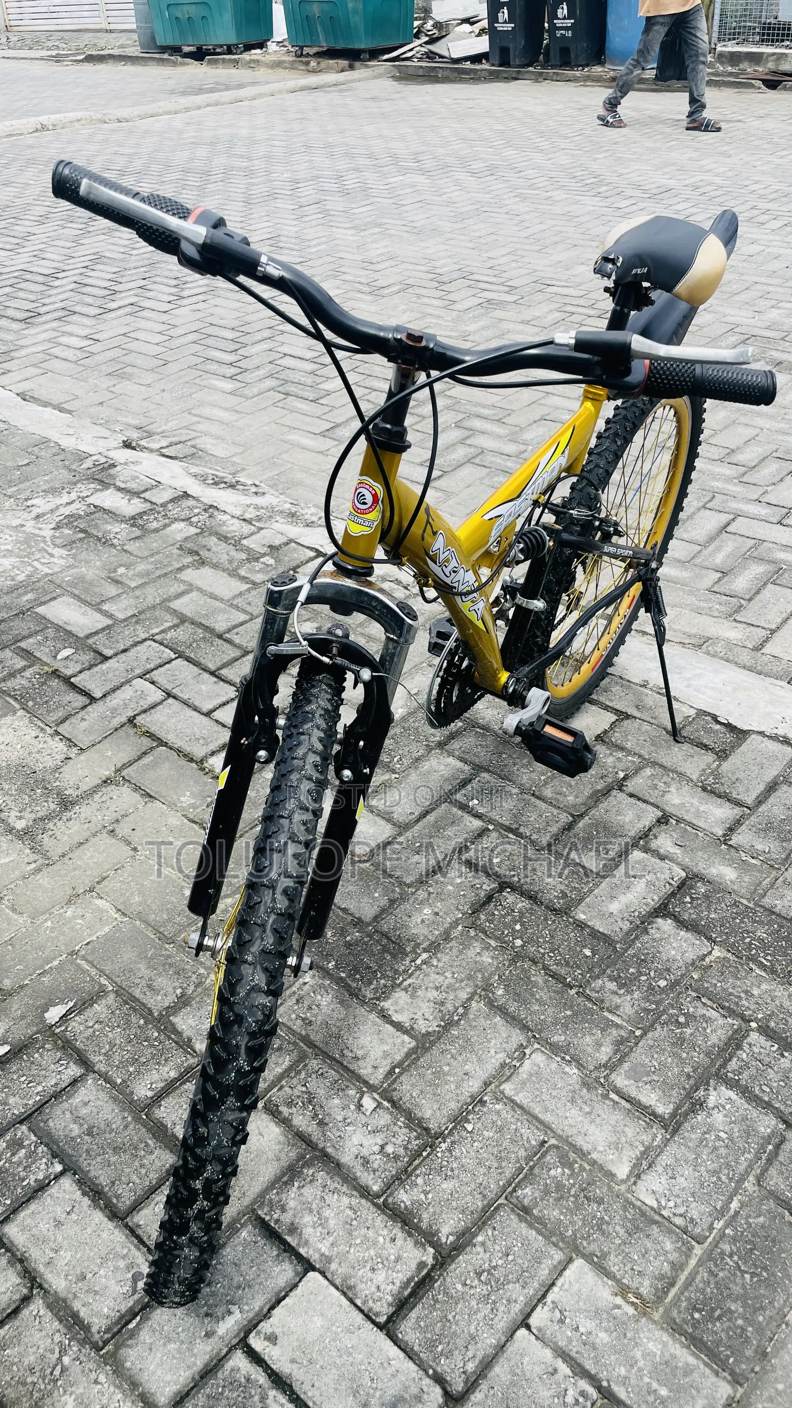 Eastman Adult Bicycle